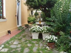 Zahrada ubytování Perla B&b