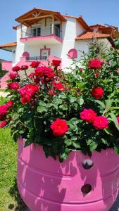 a pink planter filled with red roses in front of a house at Vigla House in Sykia Chalkidikis