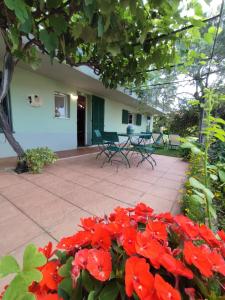 eine Gruppe roter Blumen vor einem Haus in der Unterkunft Independent apartment with a fabulous patio - Casa Penny in Cisano sul Neva