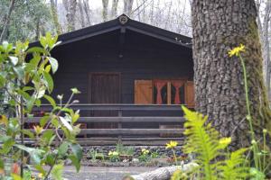 Zahrada ubytování Intry Etna Chalet