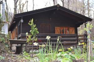 Zahrada ubytování Intry Etna Chalet