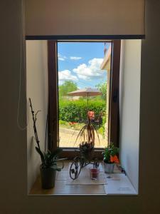 Fotografie z fotogalerie ubytování Lovre v destinaci Viskovo
