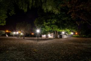 Fotografie z fotogalerie ubytování Quinta Chão da Bispa v destinaci Oliveira do Hospital
