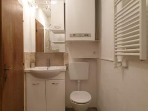 Łazienka w obiekcie Alm-Ferienhaus Gaisegg am Klippitztörl