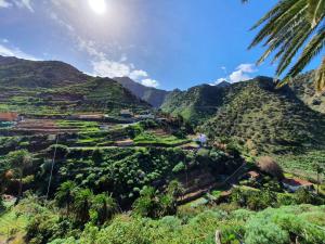 Elle offre une vue sur une montagne bordée de palmiers. dans l'établissement Casa Vivi, à Vallehermoso