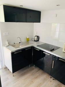 eine Küche mit Spüle und Arbeitsplatte in der Unterkunft Bitter súkromné ubytovanie in Štúrovo