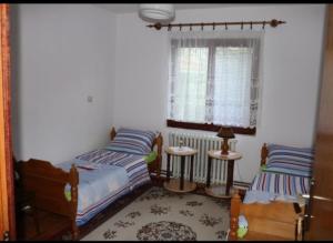 a bedroom with two beds and a window at Milojković in Donji Milanovac