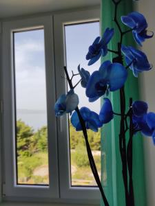 Fotografie z fotogalerie ubytování Apartment Ravnice v Omiši