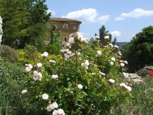 a field of white flowers in front of a building at Les Jardins de l'Abbaye in Simiane-la-Rotonde