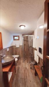 a bathroom with a shower and a sink at Chalet Courmayeur in Courmayeur +7 photos