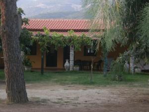 una casa con un árbol delante de ella en Eleni Rooms Develiki en Ierissos