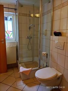 a bathroom with a shower and a toilet at Moselperle Hotel Garni in Wolf