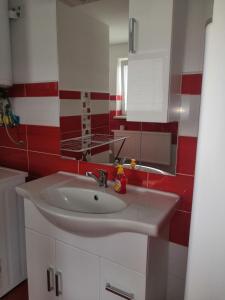 a bathroom with a sink and a red and white wall at U Moto Makovic in Horažďovice