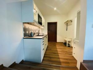Köök või kööginurk majutusasutuses Apartmány V uličce Frymburk