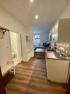 Köök või kööginurk majutusasutuses Apartmány V uličce Frymburk