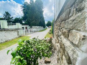 a stone wall with a plant next to a street at Apartmány V uličce Frymburk in Frymburk