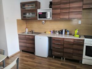 a kitchen with a white refrigerator and a microwave at U Moto Makovic in Horažďovice