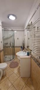 La salle de bains est pourvue d'une douche, d'un lavabo et de toilettes. dans l'établissement Apartament na wydmie u Eli, à Ustka