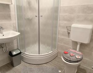 a bathroom with a shower and a toilet and a sink at Apartment Lea Mataija in Novi Vinodolski +29 photos