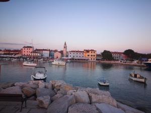 a group of boats in a body of water with buildings at Pleasing place in Fažana
