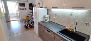 a kitchen with a sink and a refrigerator at Studio Apartment Nature in Ravni +15 photos