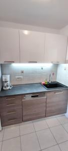 a kitchen with wooden cabinets and a sink at Studio Apartment Nature in Ravni