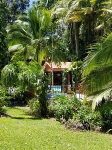 a resort with a pool and palm trees at Plasencia Estate in Omoa