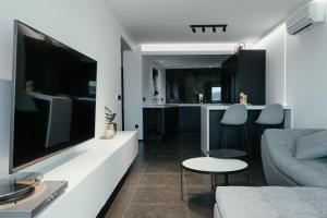 TV a/nebo společenská místnost v ubytování Apartment 1911