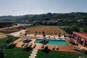 una vista aérea de una piscina con sillas y un campo en Quinta de Santo António - Country House & Villas, en Marco de Canaveses