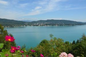 een uitzicht op een grote hoeveelheid water met bloemen bij Appartement Enzi in Sekirn