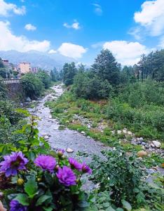 a river with pink flowers in the foreground at Hânetül Mabeyn in Rize