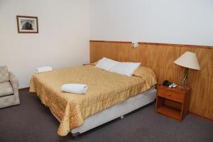 ein Schlafzimmer mit einem Bett, einer Lampe und einem Stuhl in der Unterkunft Hotel El Condor in Paracas
