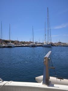 vistas a un puerto deportivo con barcos en el agua en Domaine Trevinella en Cauro