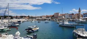 Un gruppo di barche sono ormeggiate in un porto. di Apartment Anna a Fažana