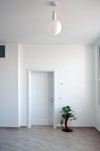 Fotografie z fotogalerie ubytování Villa Luelfa v destinaci Durrës