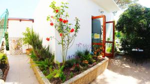Zahrada ubytování Hotel Rio Claro