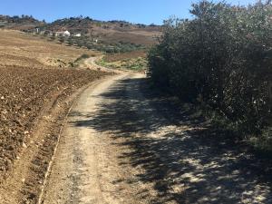 Fotografia z galérie ubytovania Finca Las Campanas II v destinácii Villanueva de la Concepción