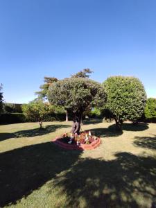 A garden outside Pension Casa Carmela