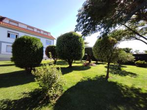 A garden outside Pension Casa Carmela