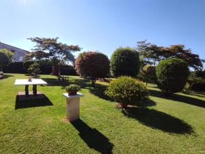 A garden outside Pension Casa Carmela
