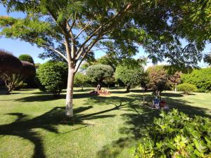A garden outside Pension Casa Carmela