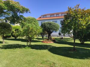 A garden outside Pension Casa Carmela