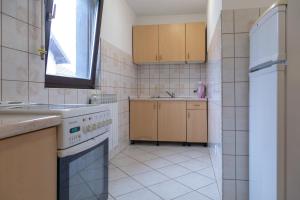 a small kitchen with a stove and a sink at Sun Garden Sarajevo in Sarajevo