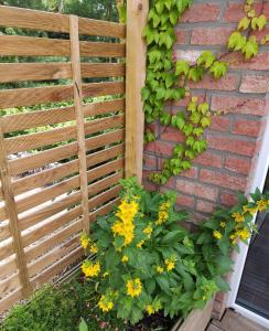 a wooden fence with yellow flowers next to a brick wall at Les moineaux du Lileau in Marchin