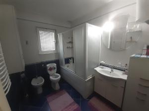ein Badezimmer mit einem WC, einem Waschbecken und einem Spiegel in der Unterkunft VILA LUKA in Podgorica