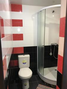 a bathroom with a toilet and a shower at Гостевой дом Камбрия in Lazarevskoye
