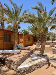 Gallery image of Dolphin Camp in Dahab