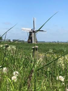 a windmill in the middle of a field of grass at Onder De Boom in Gerkesklooster