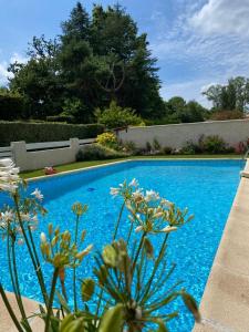 a blue swimming pool in a yard with flowers at Maison ruisseau l'eau blanche in Léognan