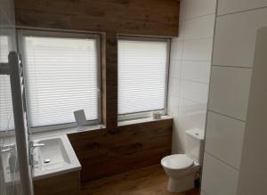 a bathroom with a toilet and a sink and two windows at Tollenseheim in Neubrandenburg